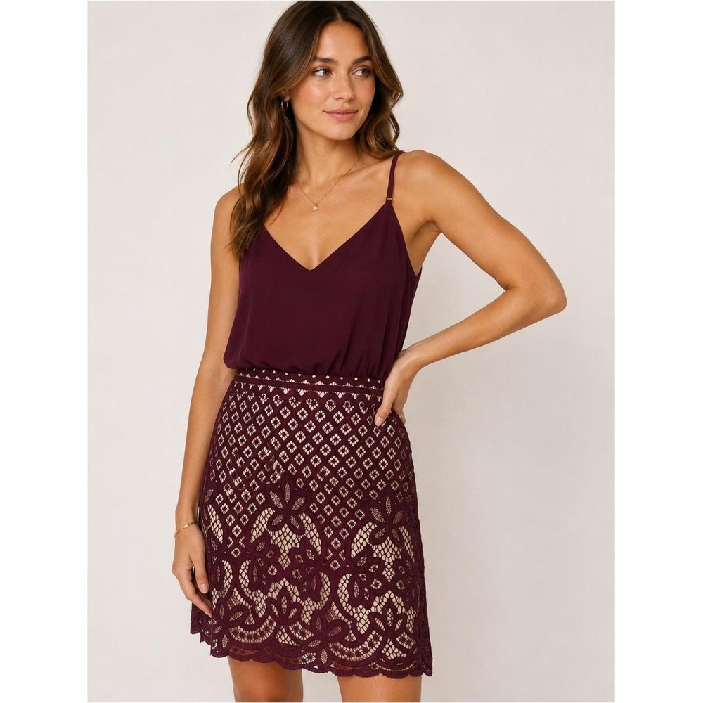 Francesca's Alya Burgundy Lace Sleeveless Dress Size M 3PFSB0525F